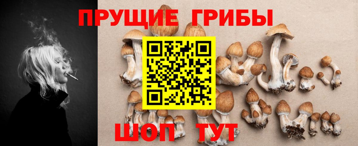 Псилоцибиновые грибы мицелий  где найти   Каменск-Шахтинский  Вход с VPN 
